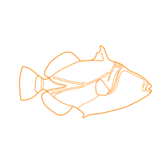 Animals Saltwater Fish Reef Triggerfish Editable Svg Line Art, Free Vectors File